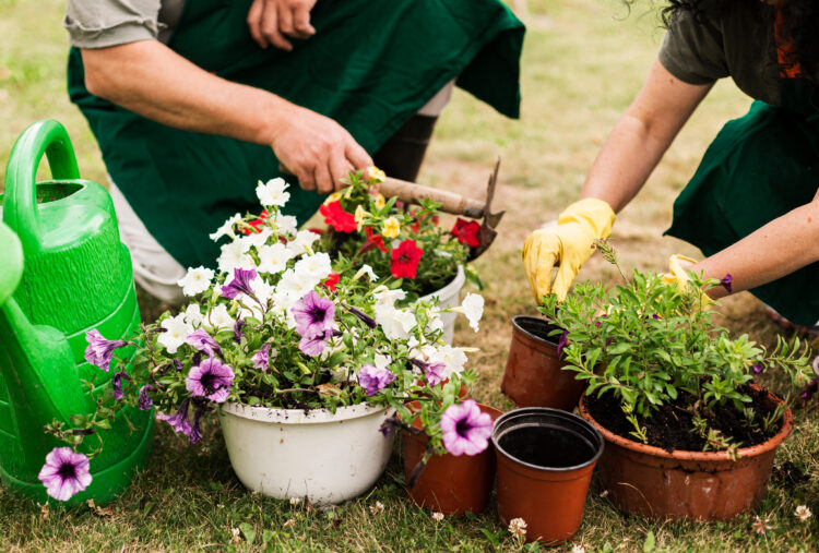 deux personnes qui jardinent